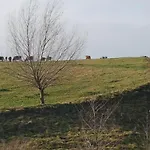 Dom Na Warmii -siedlisko Jablonka * Pieniezno