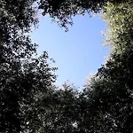 Dom Na Warmii -siedlisko Jablonka * Pieniezno