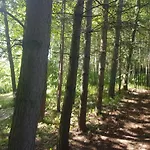 Dom Na Warmii -siedlisko Jablonka