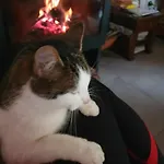 Hébergement de vacances Dom Na Warmii -siedlisko Jablonka Pieniezno