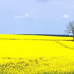 Hébergement de vacances Dom Na Warmii -siedlisko Jablonka *