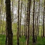 Dom Na Warmii -siedlisko Jablonka