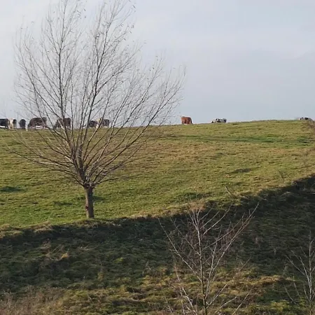 Dom Na Warmii -siedlisko Mozaika * Pieniezno