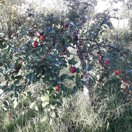 別荘 Dom Na Warmii -siedlisko Jablonka *