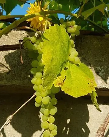 Dom wakacyjny Dom Na Warmii -siedlisko Mozaika Pieniezno