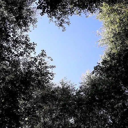 Dom Na Warmii -siedlisko Jablonka * Pieniężno