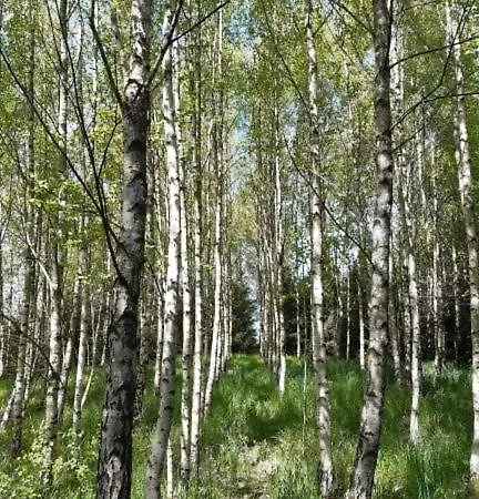 別荘 Dom Na Warmii -siedlisko Jablonka