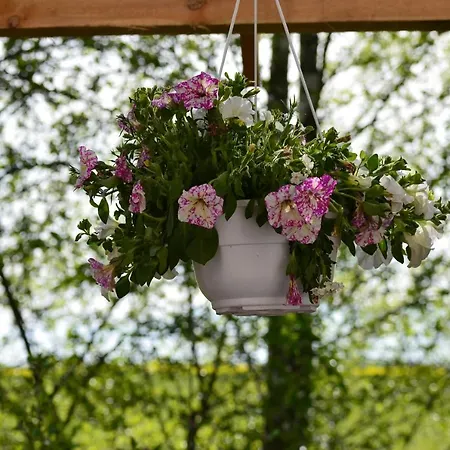 Dom Na Warmii -siedlisko Jablonka Pieniężno