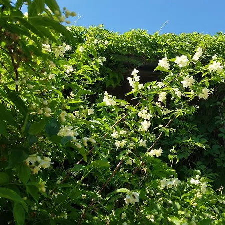 Dom Na Warmii -siedlisko Jablonka Hébergement de vacances Pieniezno