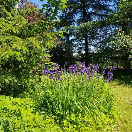 Dom Na Warmii -siedlisko Mozaika Dom wakacyjny *