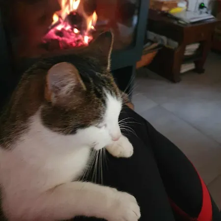 Hébergement de vacances Dom Na Warmii -siedlisko Jablonka Pieniezno
