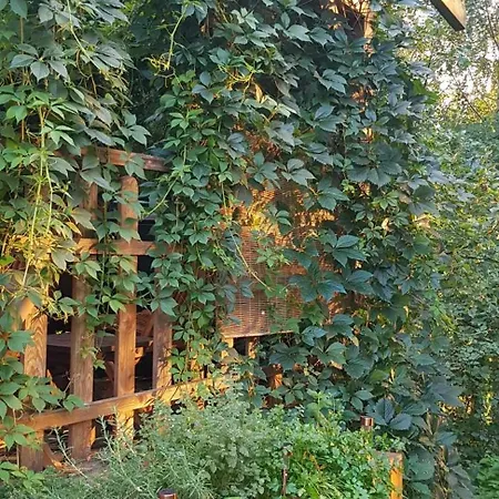 Dom Na Warmii -siedlisko Mozaika Dom wakacyjny