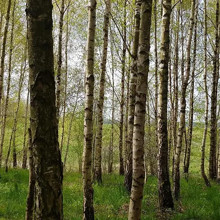 Dom Na Warmii -siedlisko Jablonka