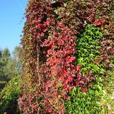 別荘 Dom Na Warmii -siedlisko Jablonka *