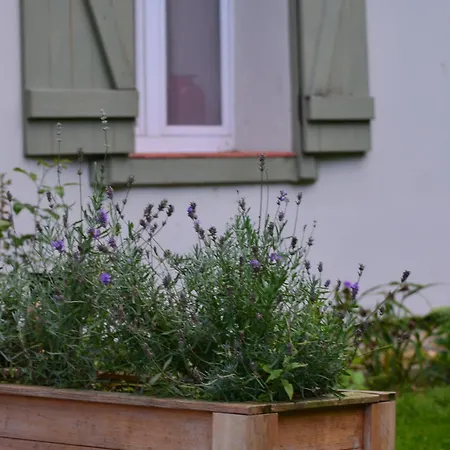 Dom Na Warmii -siedlisko Mozaika * Pieniezno