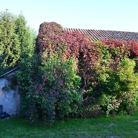 Dom Na Warmii -siedlisko Jablonka Pieniężno