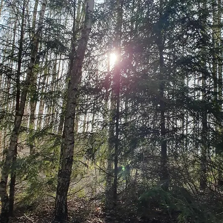 Dom Na Warmii -siedlisko Mozaika Dom wakacyjny Pieniezno