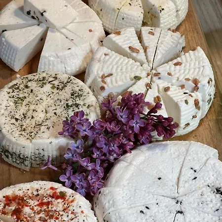 Dom Na Warmii -siedlisko Jablonka 別荘